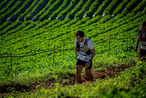 BIB: 
                            <button type="button" onclick="openModal(19160734)" class="btn btn-primary btn-sm float-right btn-popup" data-toggle="modal" data-target=".modal-high-quality">
                        <i class="fas fa-shopping-cart"></i> Add to Cart
                    </button>
                                            <button type="button" onclick="isThisMe(19160734, true)" class="btn btn-success btn-sm float-right btn-popup btn-isme hidden" data-toggle="tooltip" data-placement="bottom" title="นี่คือรูปของคุณใช่ไหม คลิกที่นี่เพื่อเอาเข้าอัลบั้ม">
                        <i class="fas fa-plus"></i> Add to album
                    </button>
                    <button type="button" onclick="isThisMe(19160734, false)" class="btn btn-warning btn-sm float-right btn-popup btn-isnotme hidden">
                        <i class="fas fa-ban"></i> Remove from album
                    </button>